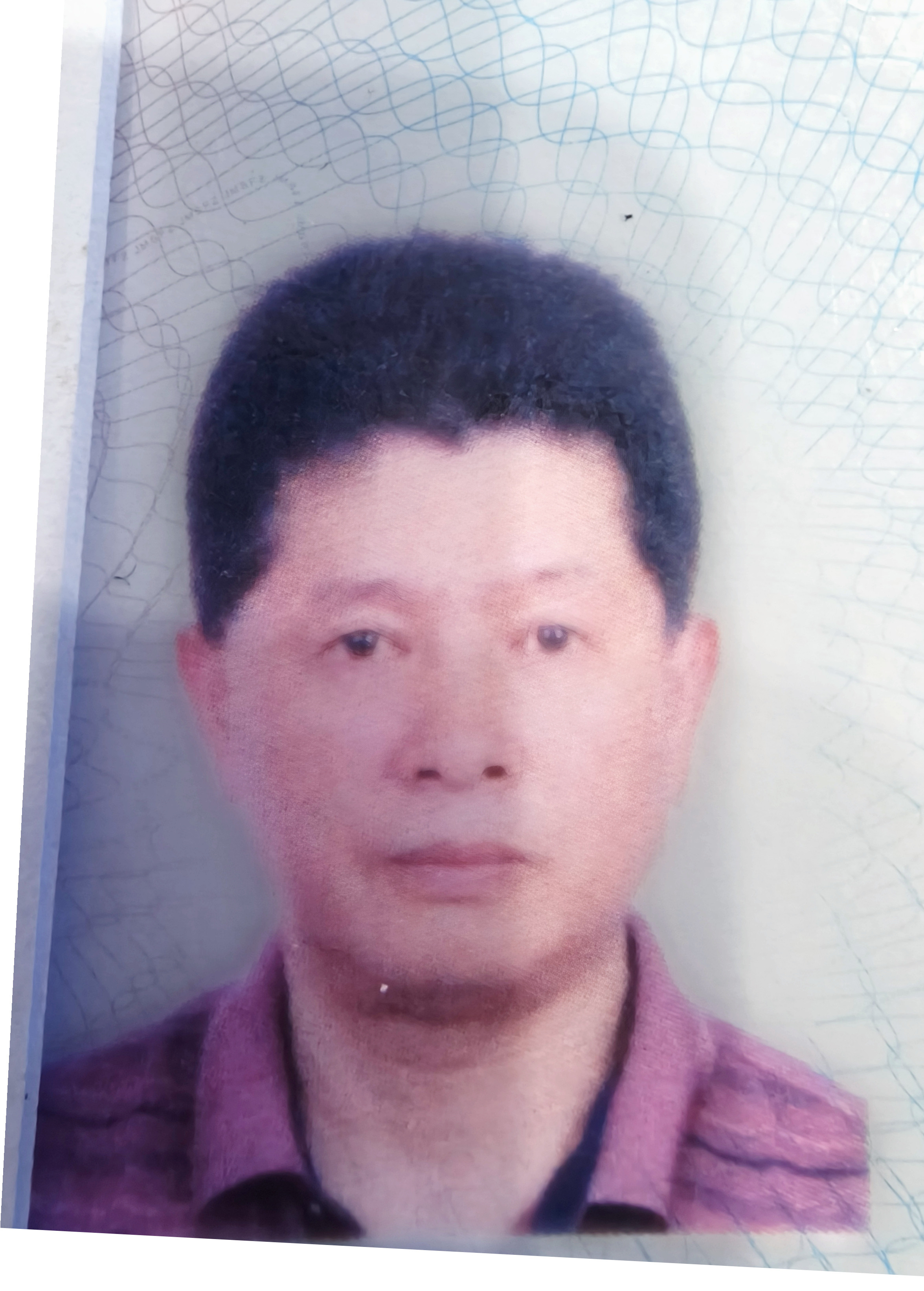 杨啟敬